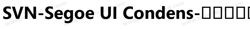 SVN-Segoe UI Condens字体转换
